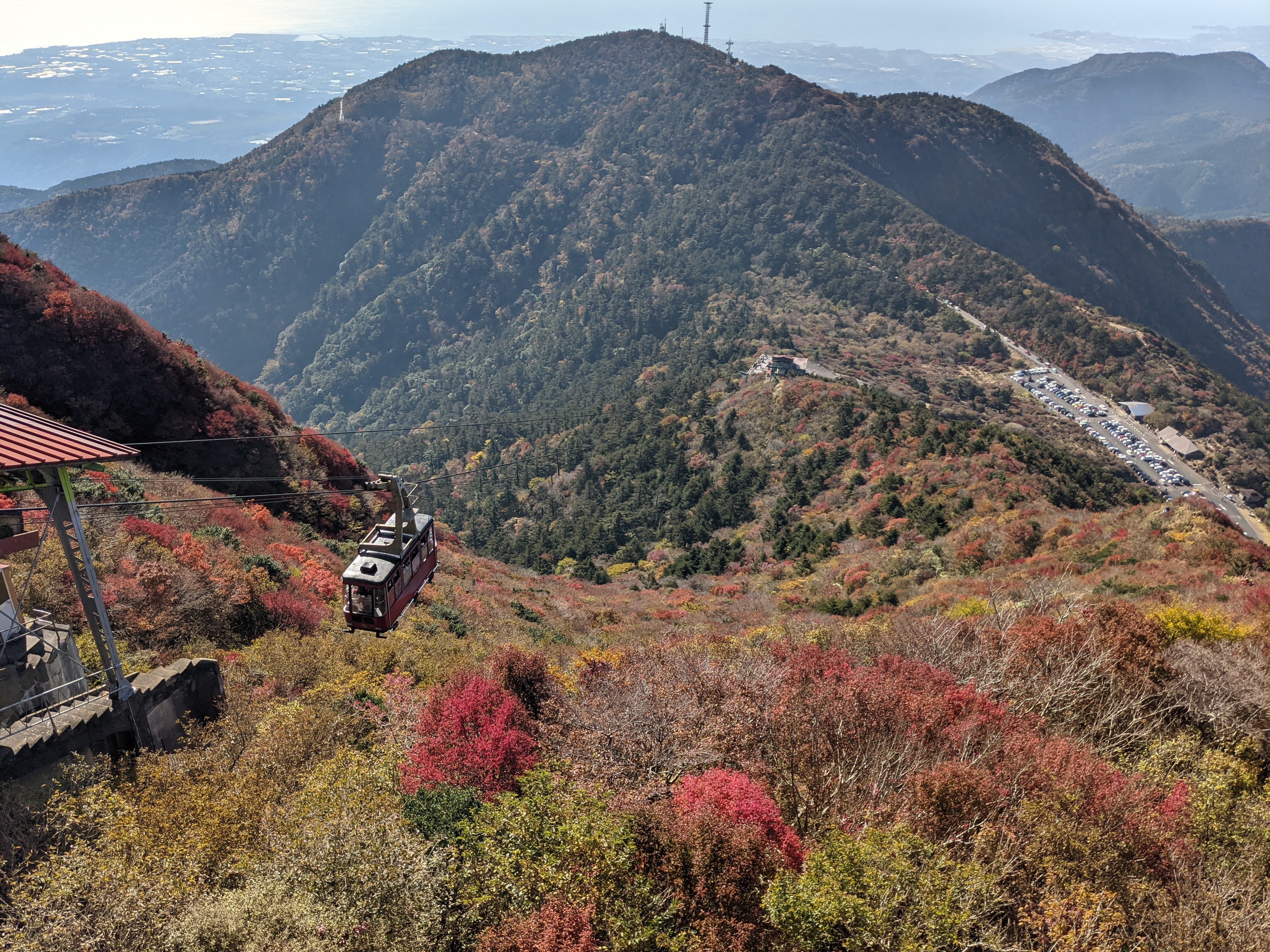 Miyama Kirishima flowers at Nita Pass